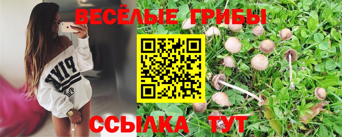 Псилоцибиновые грибы GOLDEN TEACHER  Псилоцибиновые грибы Psilocybine cubensis  Вход с VPN  Алушта 