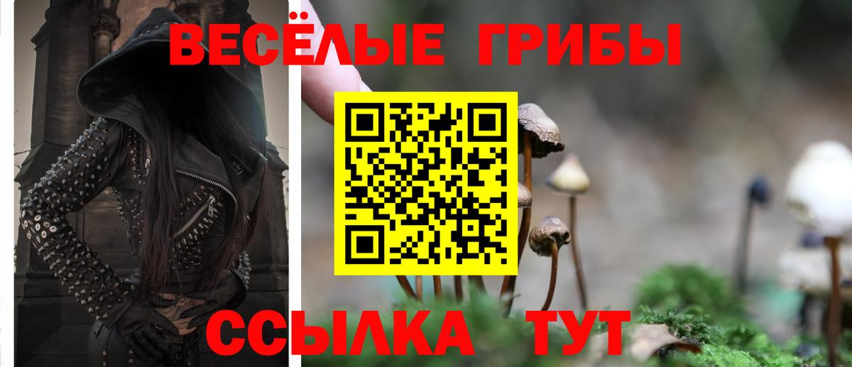Псилоцибиновые грибы ЛСД Алушта